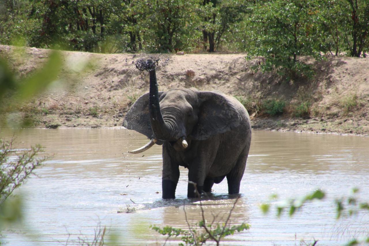 Bushvilla Umoja Kruger Phalaborwa Ngoại thất bức ảnh