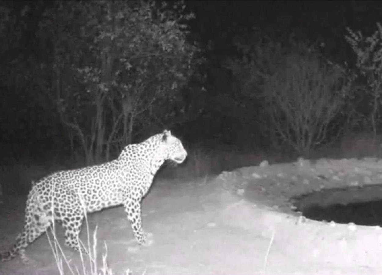 Bushvilla Umoja Kruger Phalaborwa Ngoại thất bức ảnh