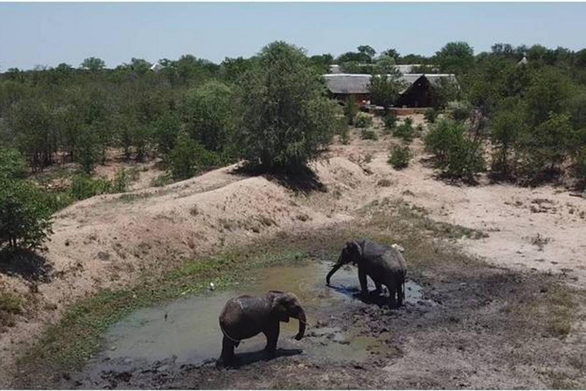 Bushvilla Umoja Kruger Phalaborwa Ngoại thất bức ảnh