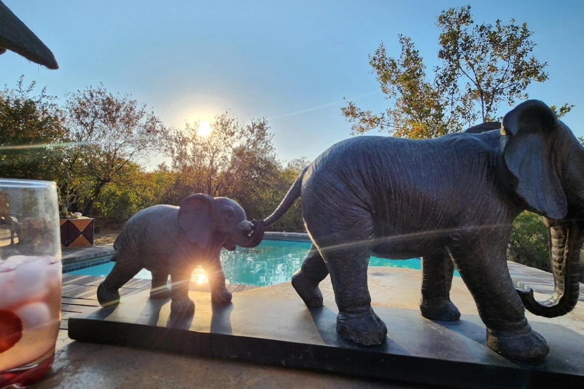 Bushvilla Umoja Kruger Phalaborwa Ngoại thất bức ảnh