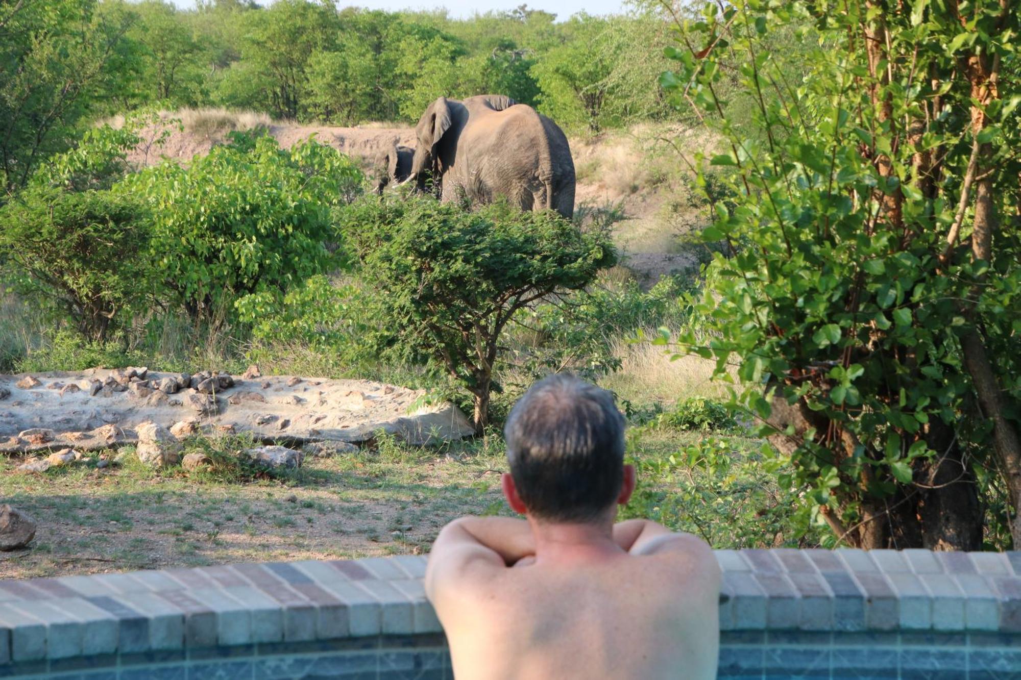 Bushvilla Umoja Kruger Phalaborwa Ngoại thất bức ảnh