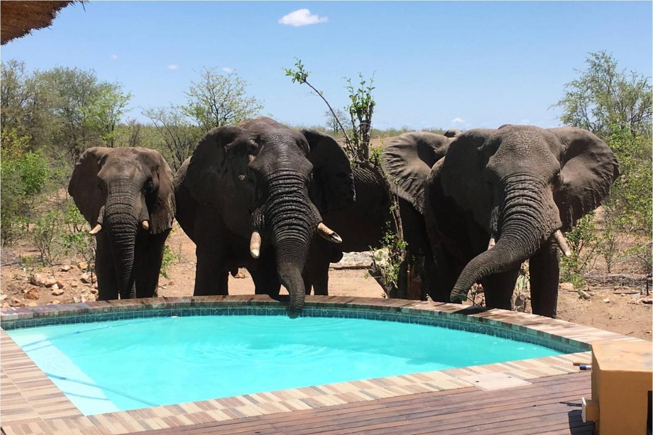 Bushvilla Umoja Kruger Phalaborwa Ngoại thất bức ảnh